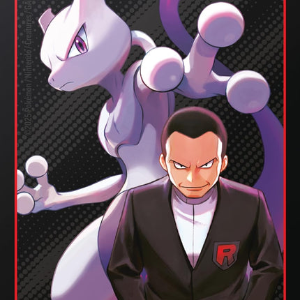 Pokémon : Coffret Dresseur Rivalités Destinées